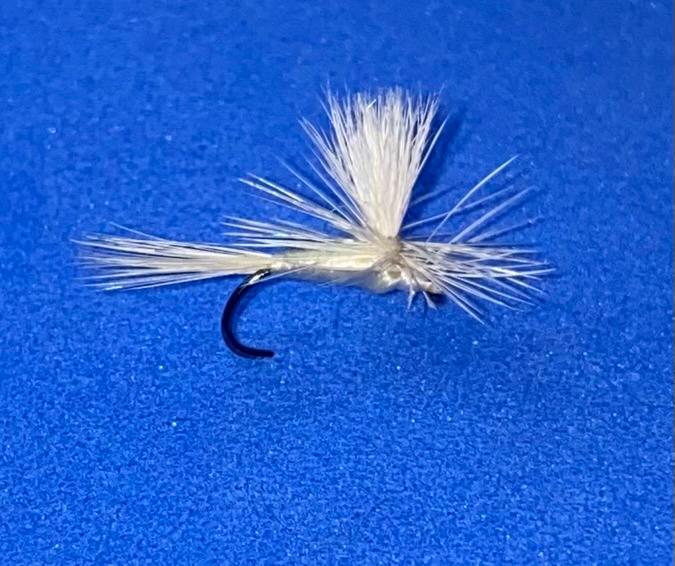 Light Cahill Parachute