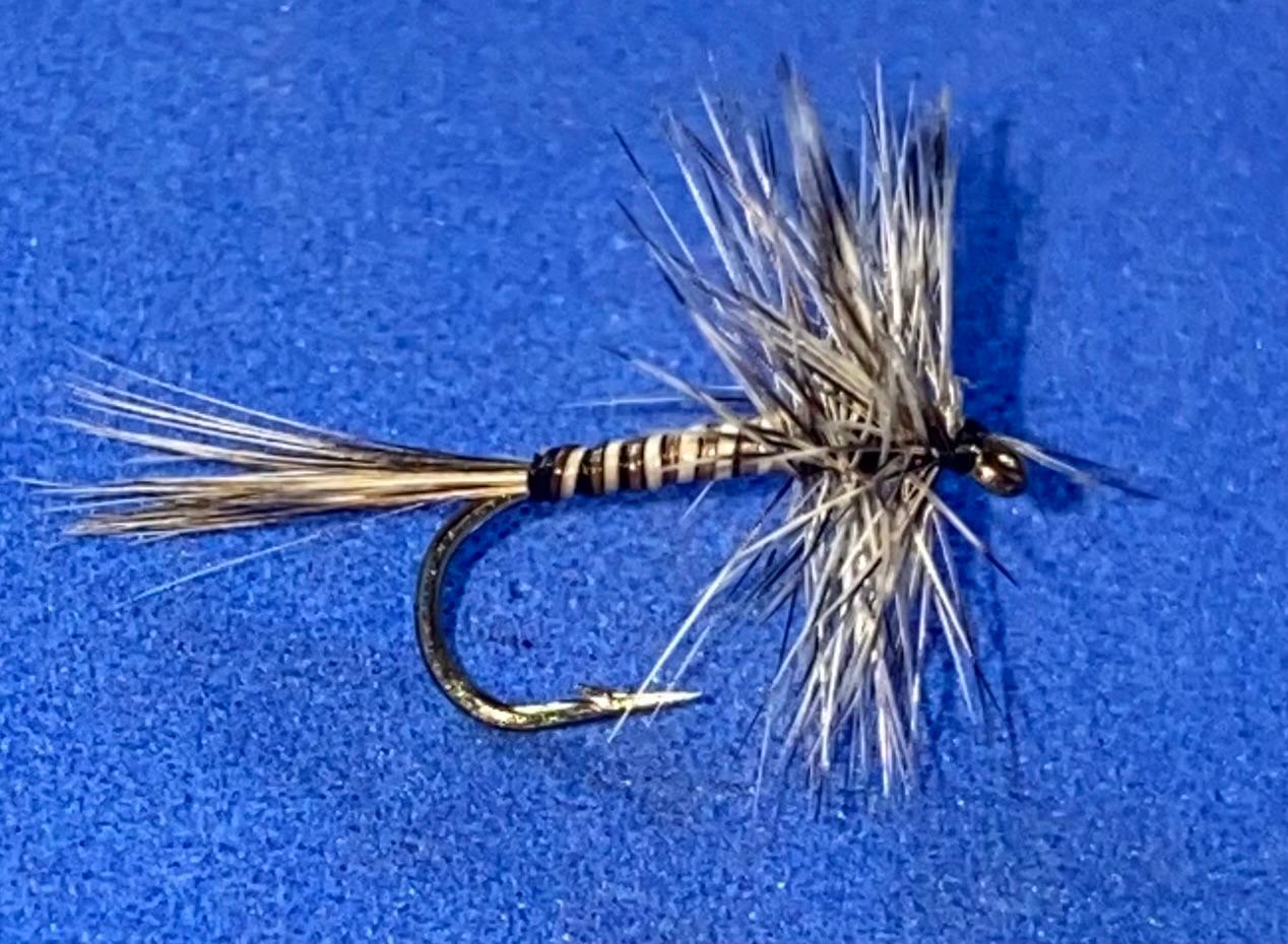 Mosquito
