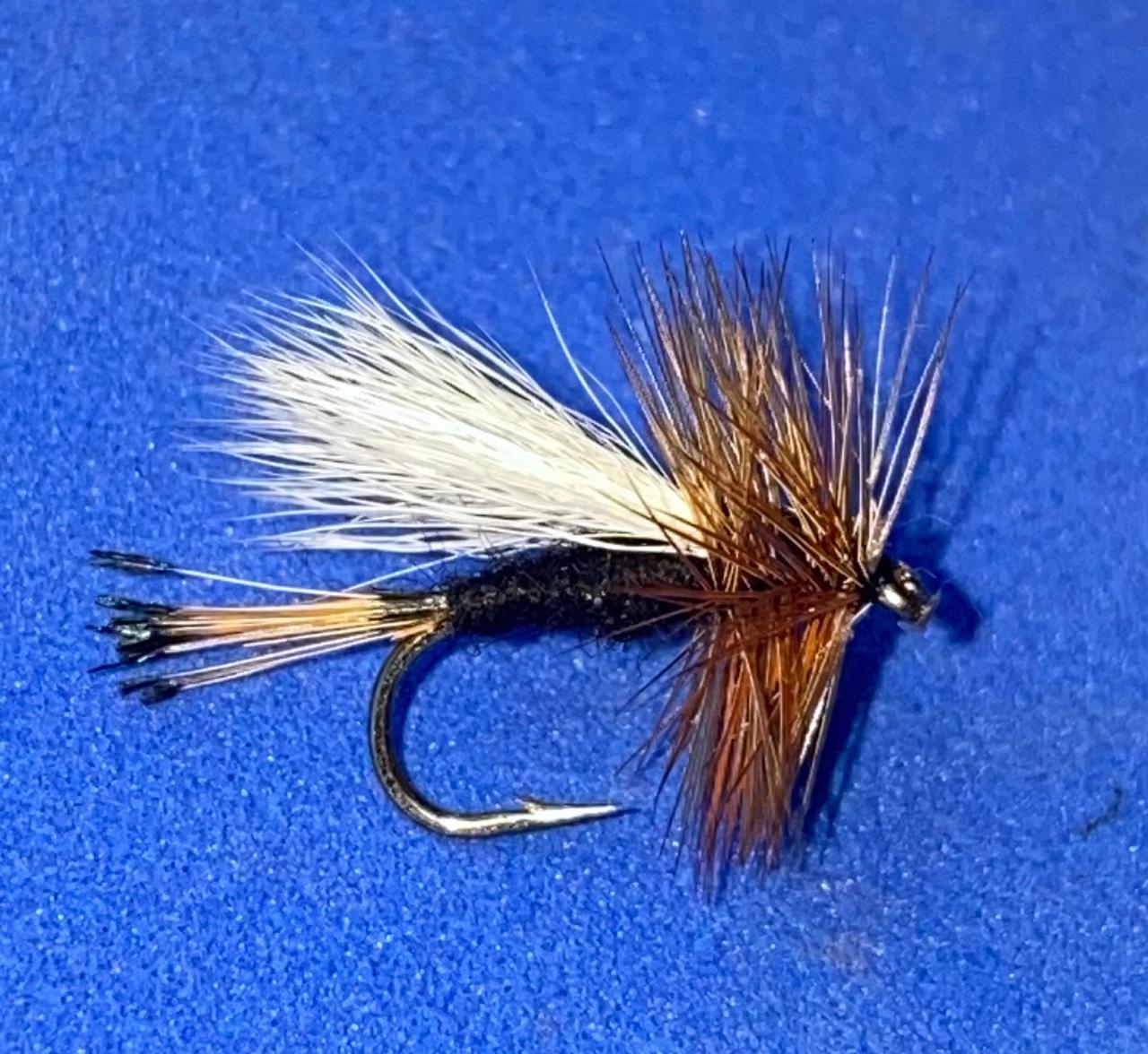 Rio grande king