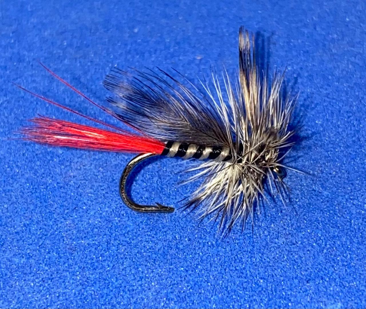 red tail mosquito