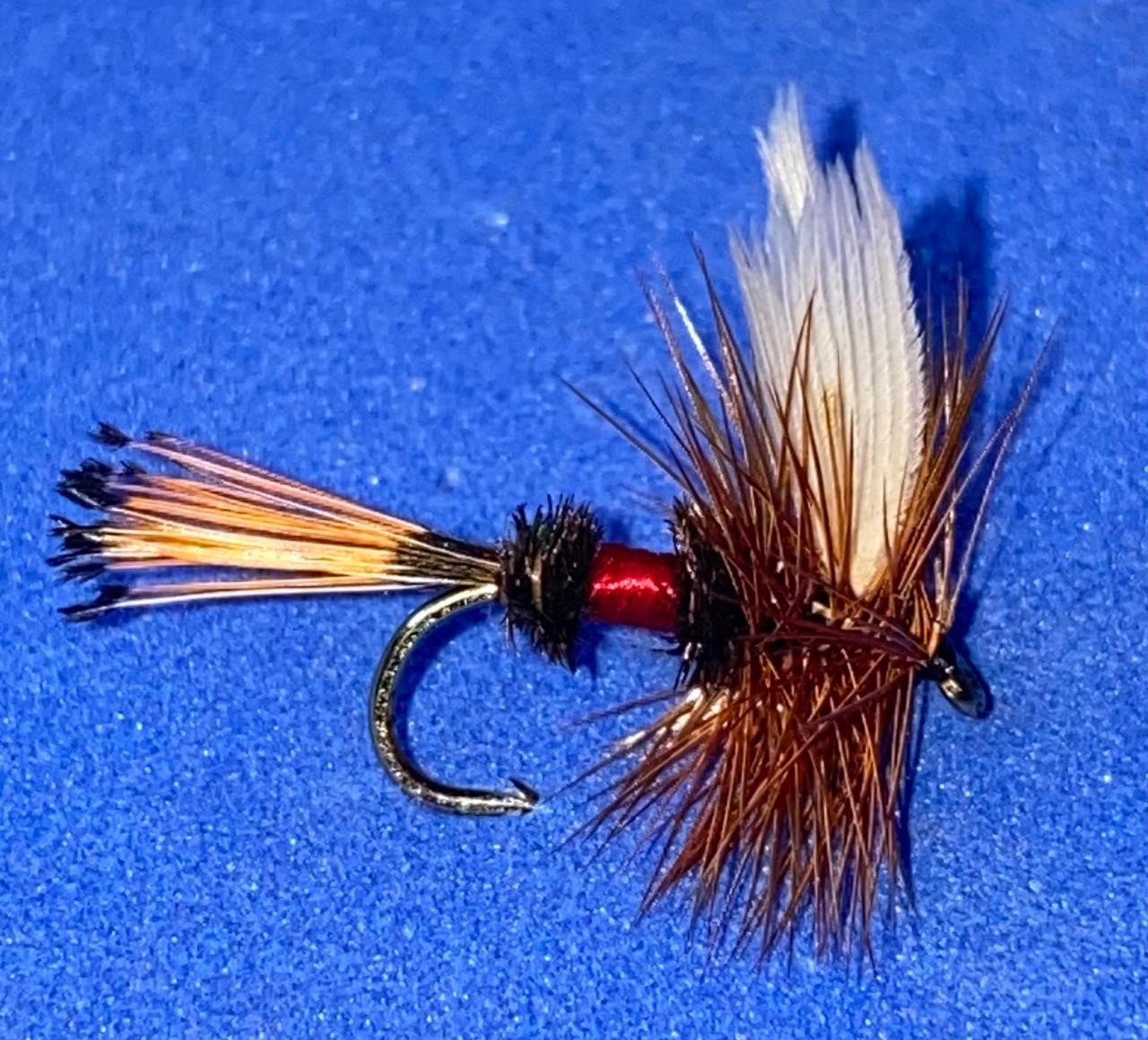 royal coachman