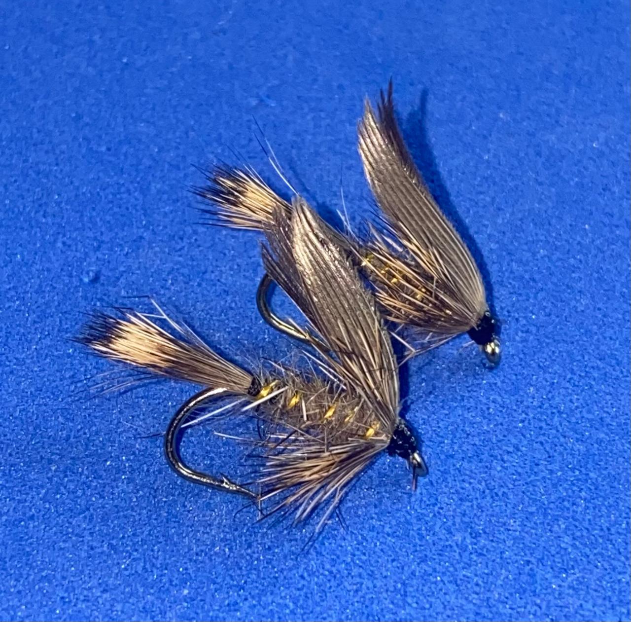 Gold Ribbed Hares ear
