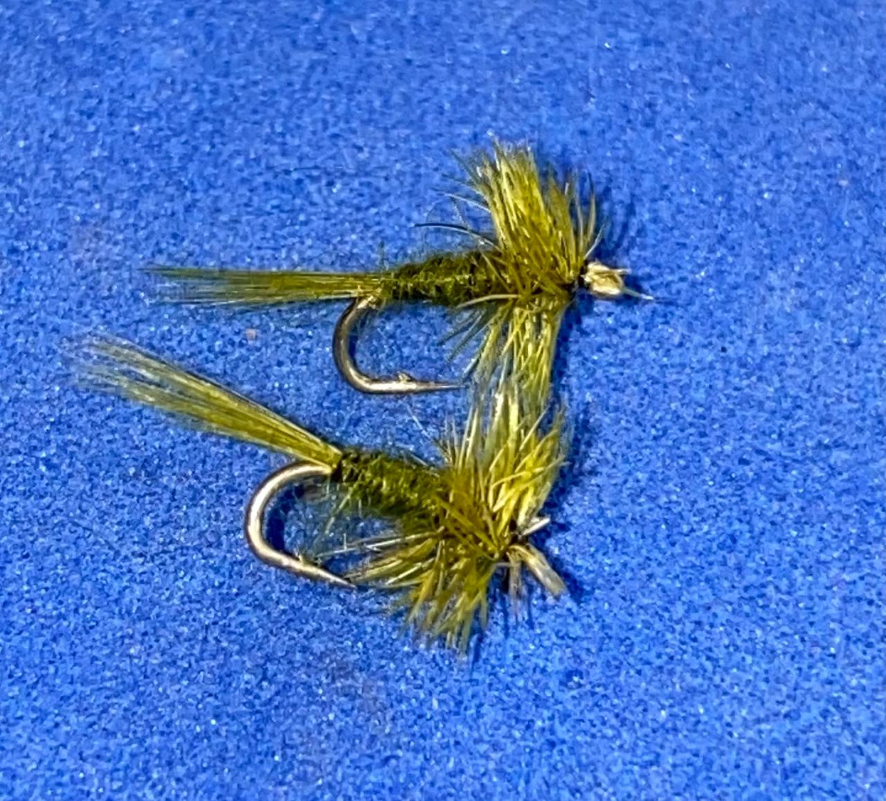 Olive Midge Dry