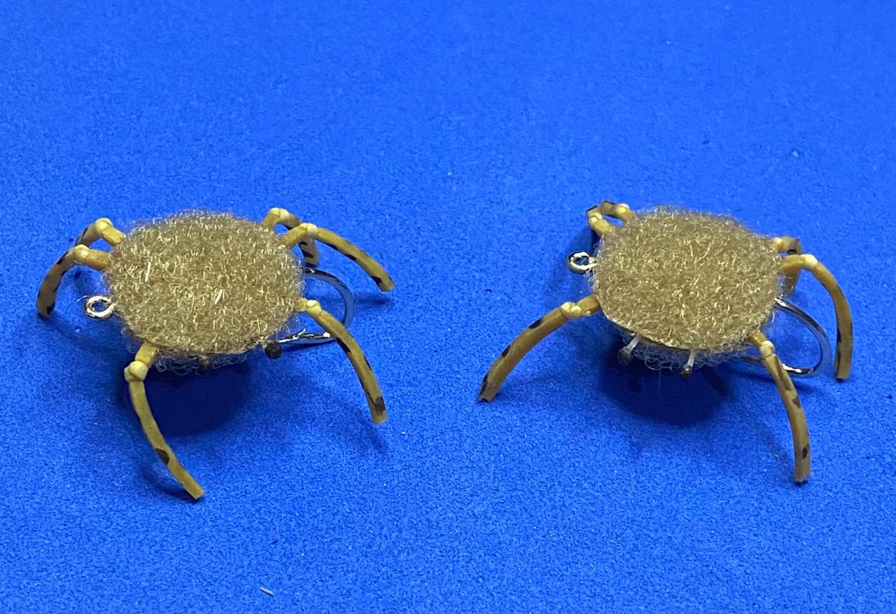 Flat Crab